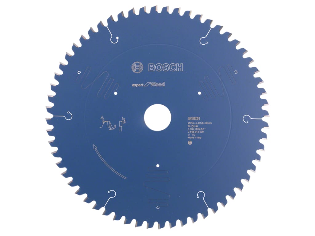 Expert for Wood Circular Saw Blade 254 x 30mm x 60T