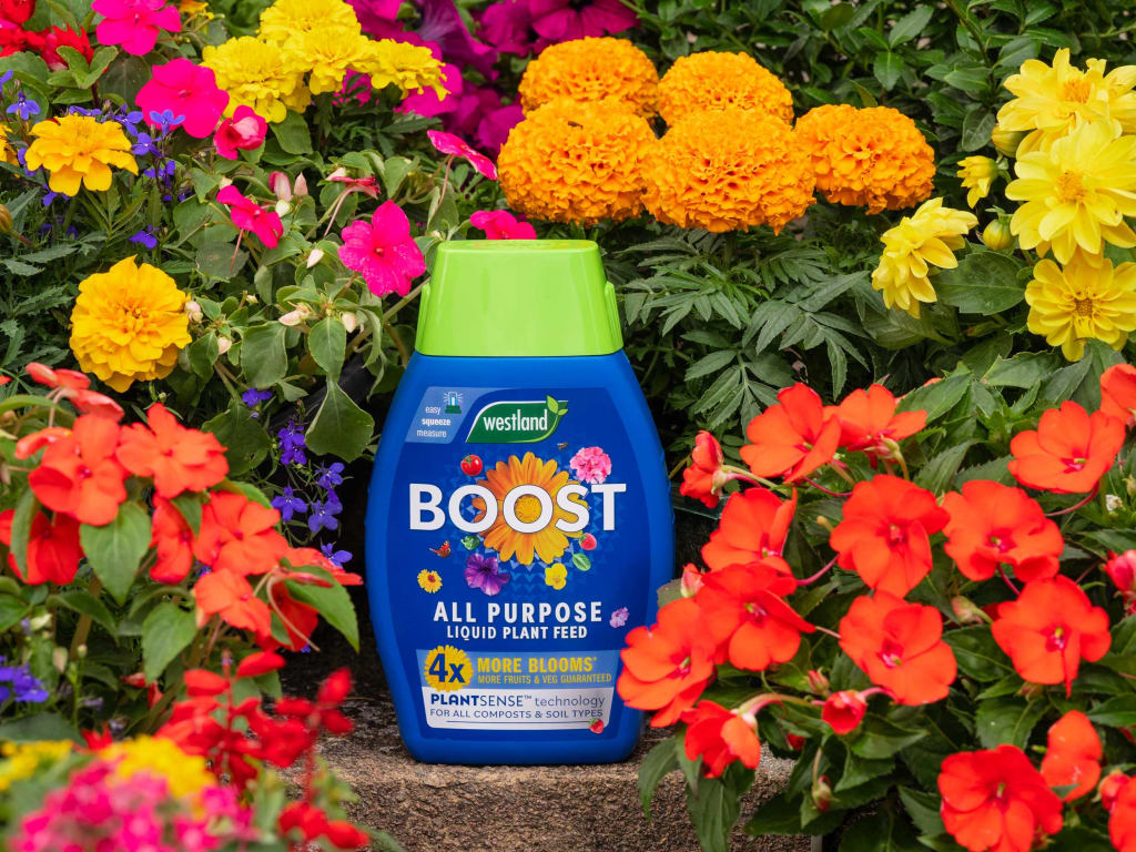 Boost all-purpose liquid plant feed bottle surrounded by colorful flowers