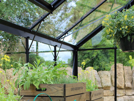 Green House - Halls