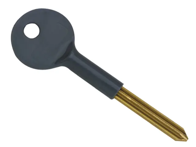 Black and gold key blade on a white background