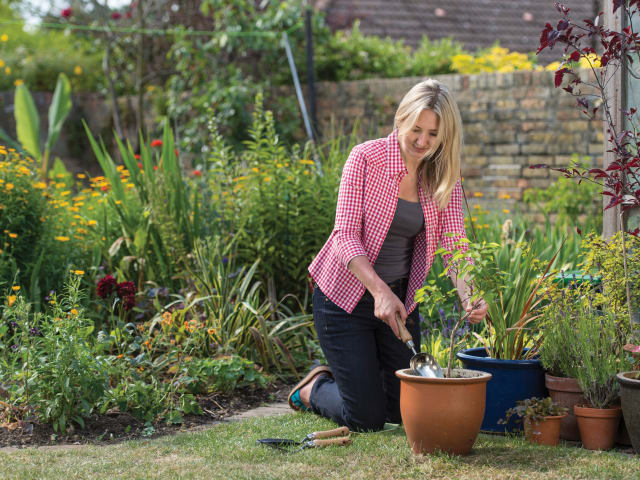 Woman gardening in a lush garden with various plants and tools.