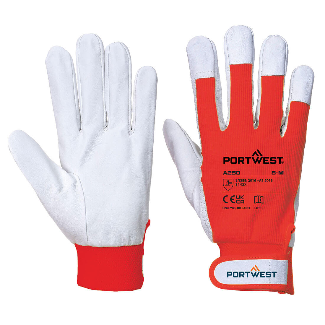 Tergsus Glove, Morgans PW