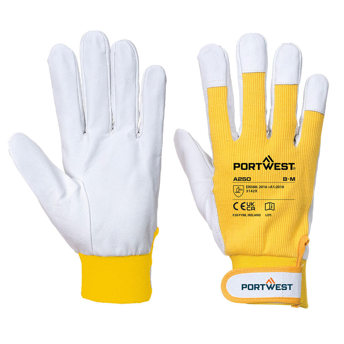 Tergsus Glove, Morgans PW