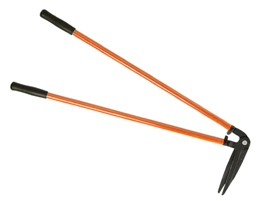 P75 Edging Shears                                                               