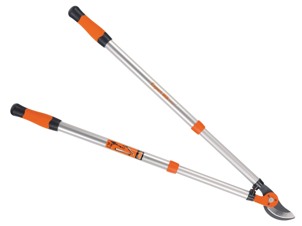 PG-19 Expert Bypass Telescopic Loppers                                          