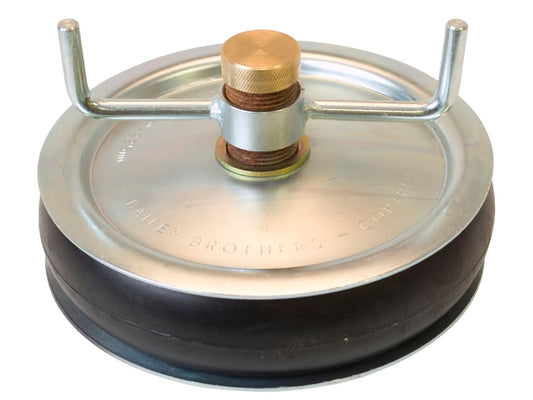 2420 Drain Test Plug 225mm (9in) - Brass Cap                                    