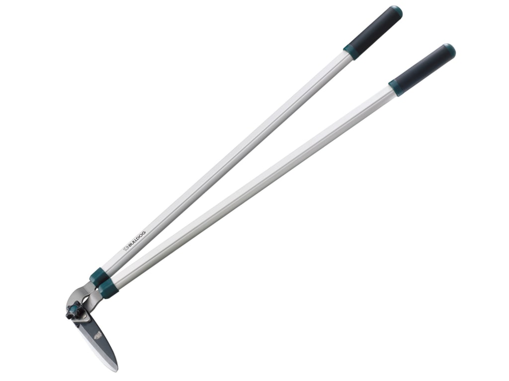 Evergreen Edging Shears                                                         
