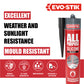 Evo-Stik all-purpose silicone sealant tube with product features on a white background