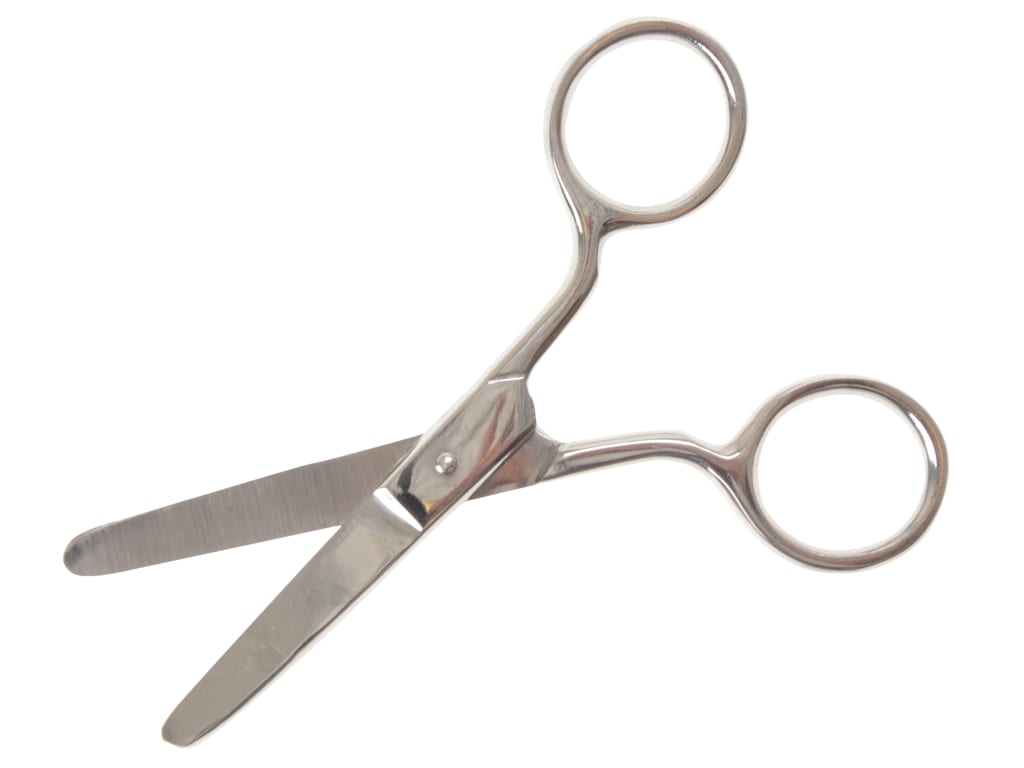 Pocket Scissors 100mm (4in)                                                     