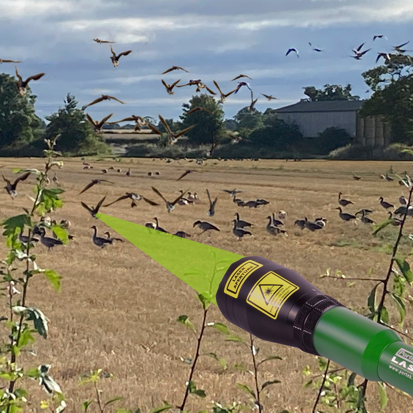 Portek LaserStrike Handheld Bird Scaring Laser