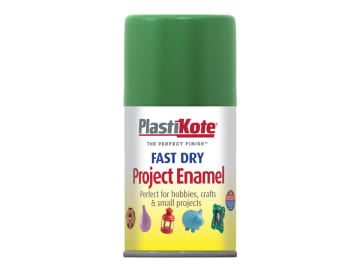 Fast Dry Enamel Aerosol Garden Green 100ml                                      