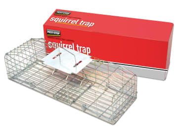 Squirrel Cage Trap 24in                                                         
