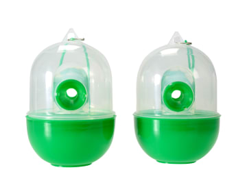 Wasp Trap (Twin Pack)                                                           