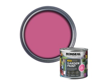 Garden Paint Pink Jasmine 250ml                                                 
