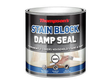 Thompson's Stain Block Damp Seal 250ml                                          