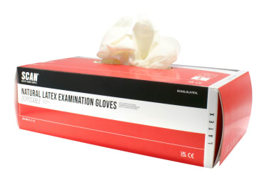 Latex Gloves - Large (Box 100)                                                  