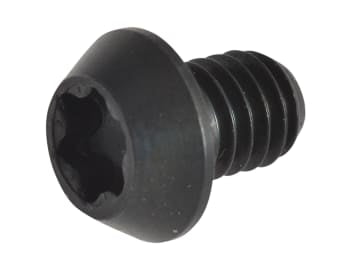 RT/3.5 TORX Replacement Screws                                                  