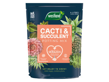 Cacti & Succulent Potting Mix 4 litre                                           