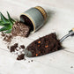 Trowel with soil and a small plant on a wooden surface