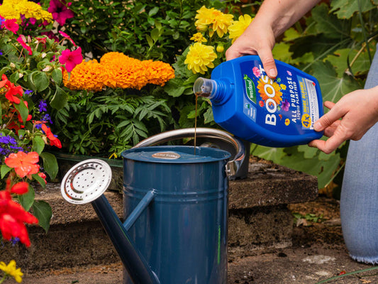Boost All Purpose Liquid Plant Feed 1 litre
