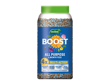 Boost All Purpose 6 Month Plant Feed 750g                                       