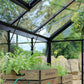 Green House - Halls