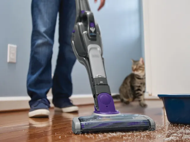 Person using a vacuum cleaner on a wooden floor with a cat watching.