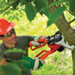 GK 1000 Alligator Powered Lopper 550W 240V