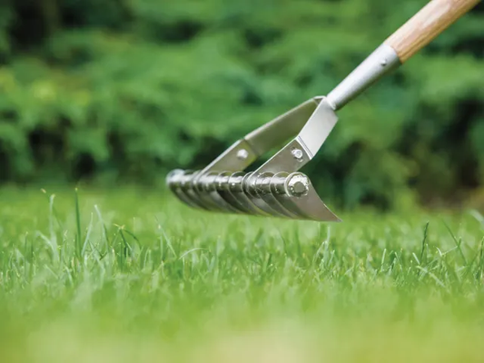 Stainless Steel Long Handled Scarifying Rake, FSC® - [product-vendor]
