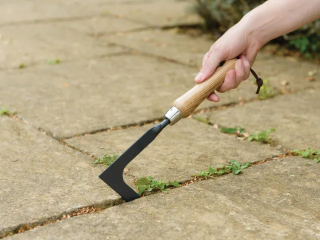 Carbon Steel Hand Weeding Knife, FSC®