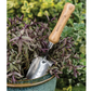 Gardening trowel with wooden handle in a pot of plants