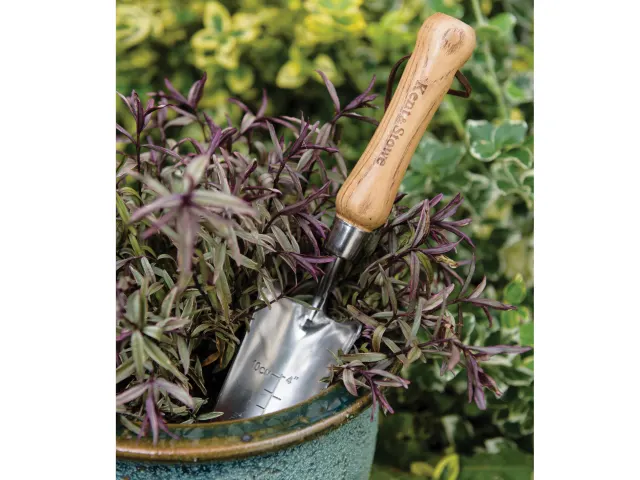 Gardening trowel with wooden handle in a pot of plants