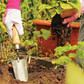 Person gardening with a trowel and plants in a garden setting