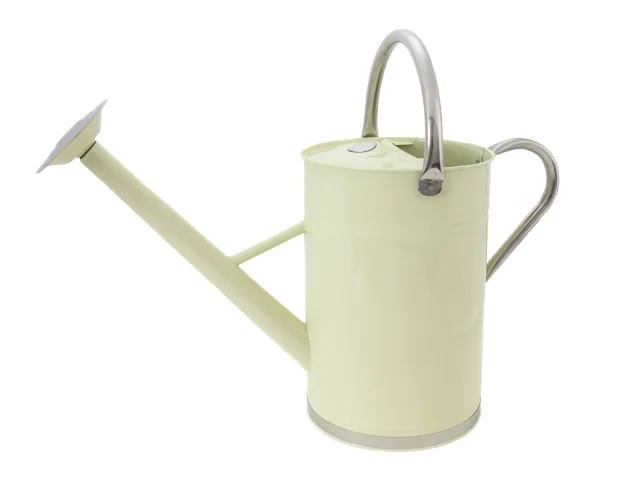 Light green watering can on a white background