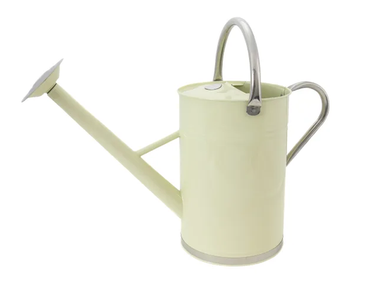 Light green watering can on a white background