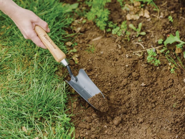 Carbon Steel Hand Transplanting Trowel, FSC®