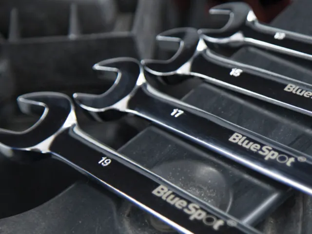 Set of wrenches with 'BlueSpot' branding on a black tray