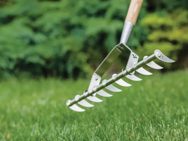 Stainless Steel Long Handled Scarifying Rake, FSC® - [product-vendor]