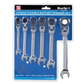 Flexible Head Ratchet Set, 6 Piece