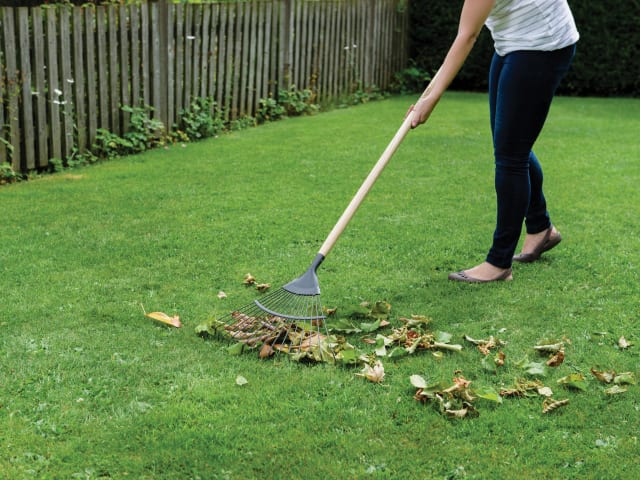 Carbon Steel Lawn & Leaf Rake, FSC®