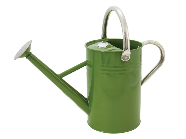 Green watering can with silver handle and nozzle on a white background