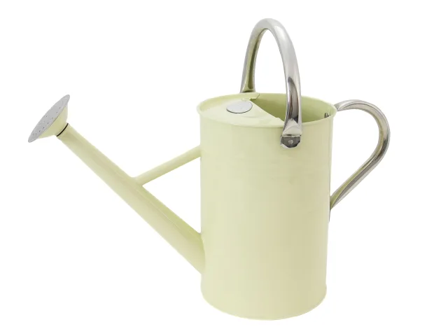 Light green watering can with silver nozzle and handle on a white background