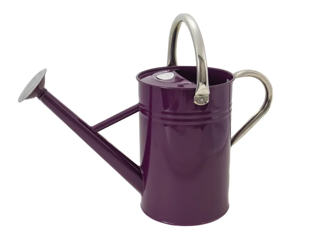 Purple Watering Can