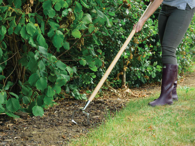 Person using a garden fork in a garden setting with green plants and grass.