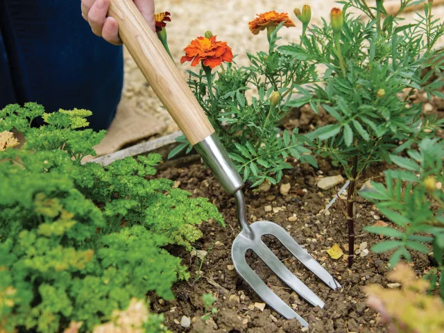Person using a garden fork in a garden with plants and flowers.