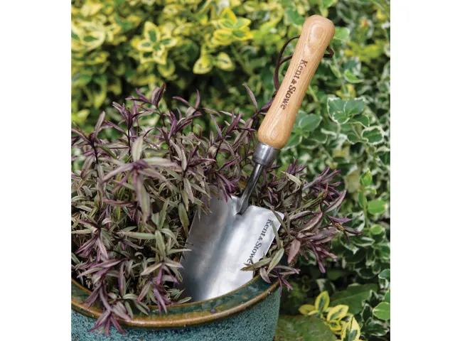 Gardening trowel with wooden handle on a plant