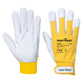 Tergsus Glove, Morgans PW