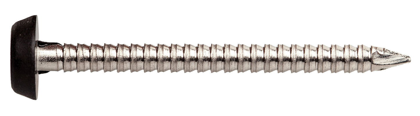 A4-316 Stainless Steel Plastic Headed Nails Black Top, Morgans OJ