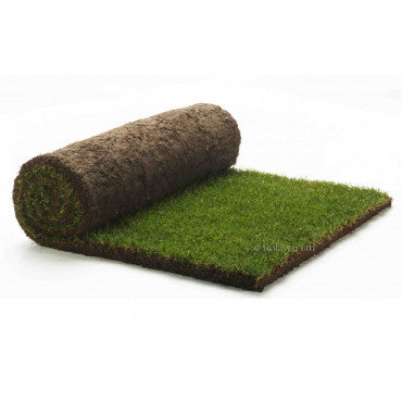 Artificial Grass QUEST 30mm 4mtr wide - per line metre, MorgansOsw